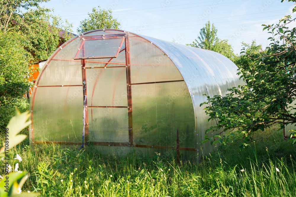Greenhouse polycarbonate in the garden. Arch type.