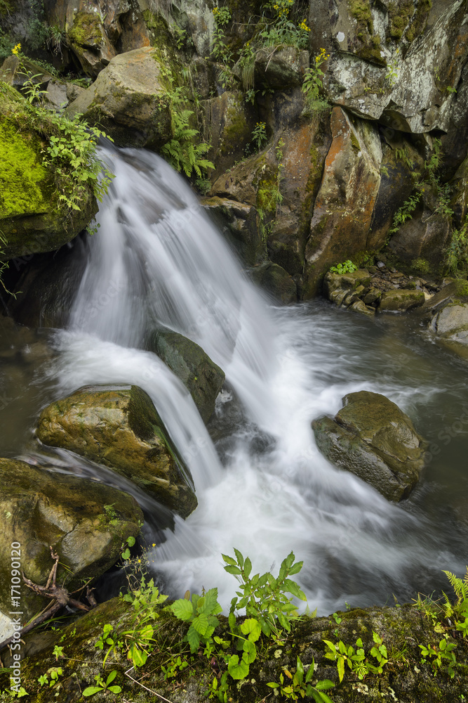 Fototapeta premium Landscape of the water cascades of a mountain stream. The river flows through mossy rocks surrounded by a beautiful forest.