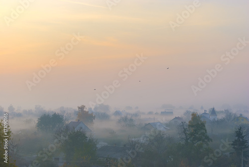 Private houses and trees are shrouded in fog at dawn. Several birds fly over the village.