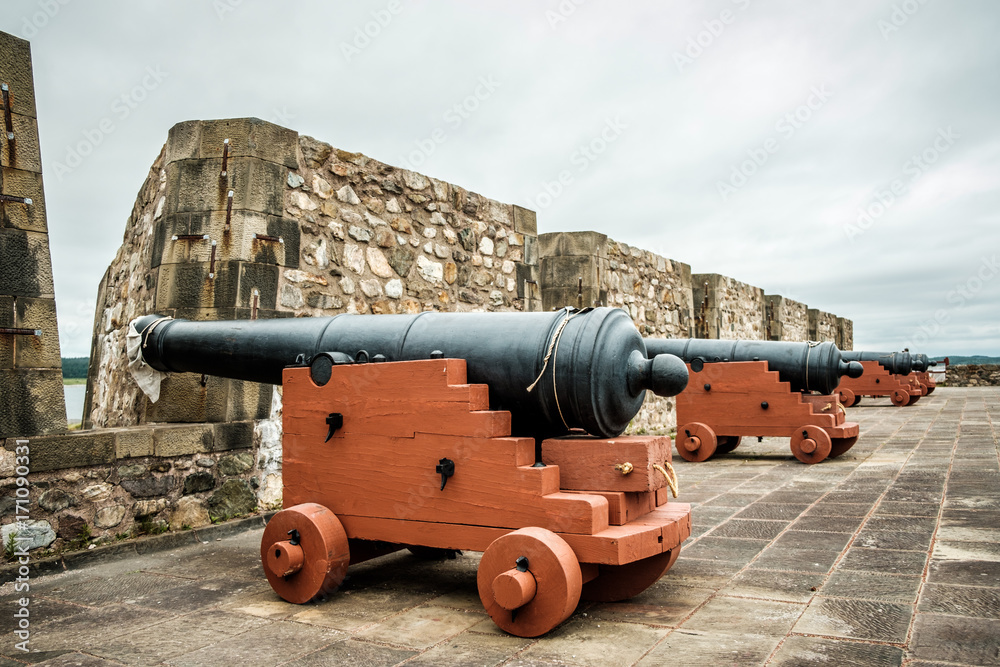 Historical war cannon