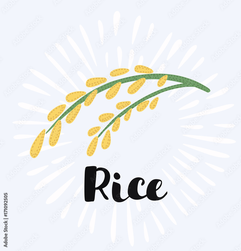 Fototapeta premium rice logo and sign