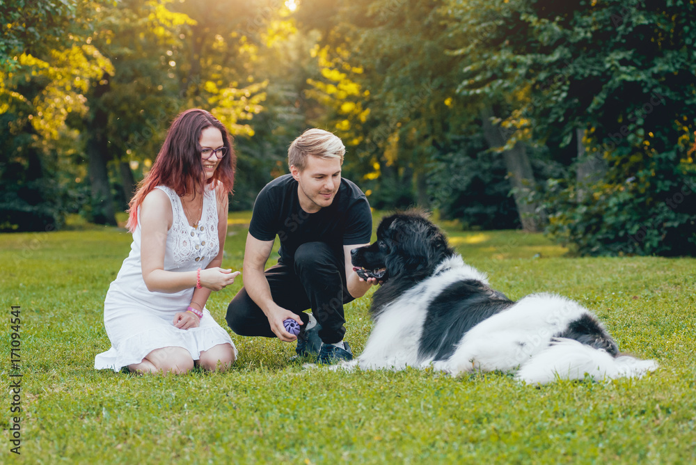 Newfoundland dog plays with man and woman in the park