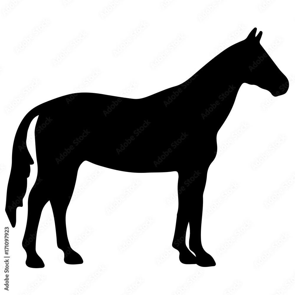 Obraz premium Running horse black silhouette. Vector illustration.