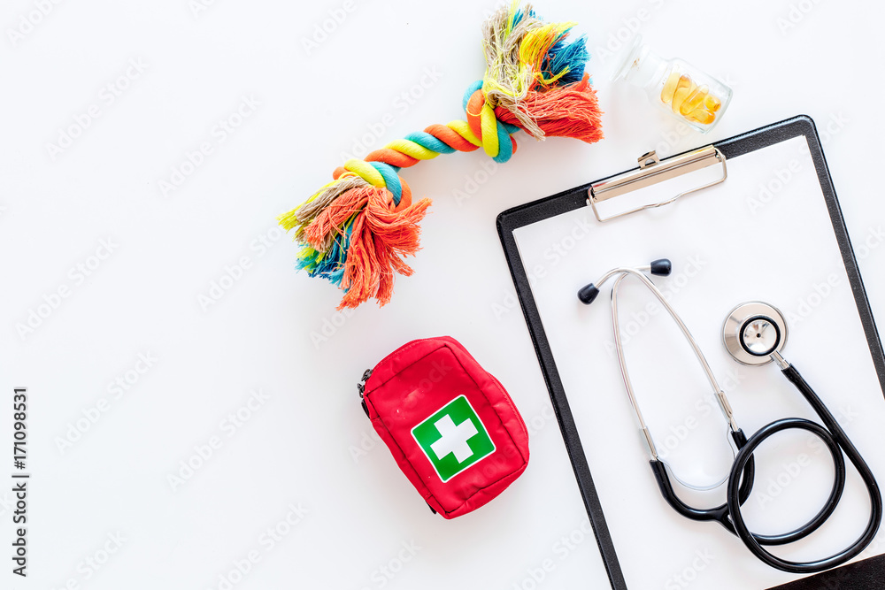 pets cure with stethoscope for treatment set on white background top view mock up pets cure with stethoscope for treatment set on white background top view mock up
