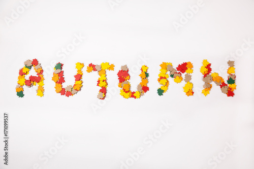 Word Autumn from colorful paper maple leaves on a white background 