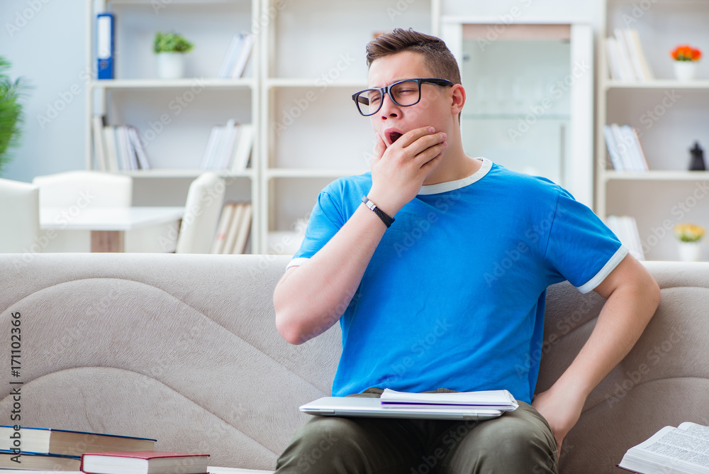 Young student preparing for exams studying at home on a sofa Young student preparing for exams studying at home on a sofa