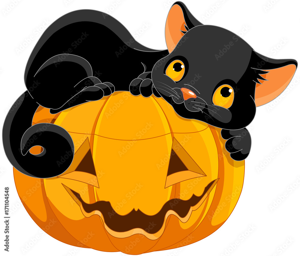 Halloween Kitten Halloween Kitten