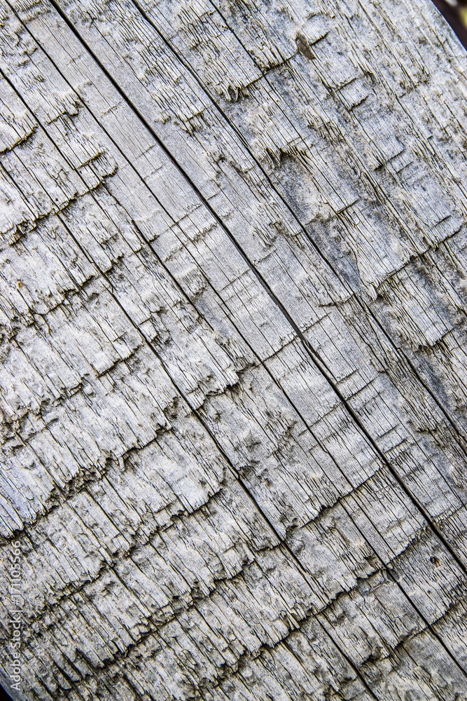 Fototapeta premium texture of old paint