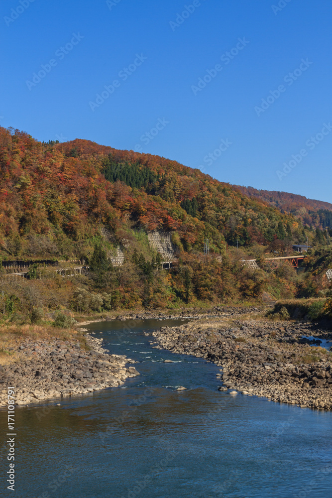 秋の信濃川の風景