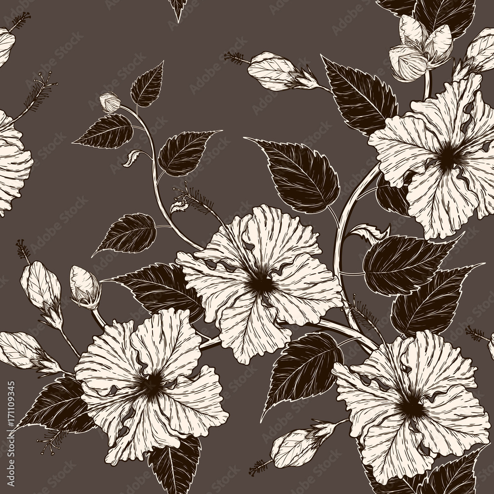 Obraz Hibiscus flower vector pattern by hand drawing.Flower vintage wallpaper on brown background.Hibiscus flower