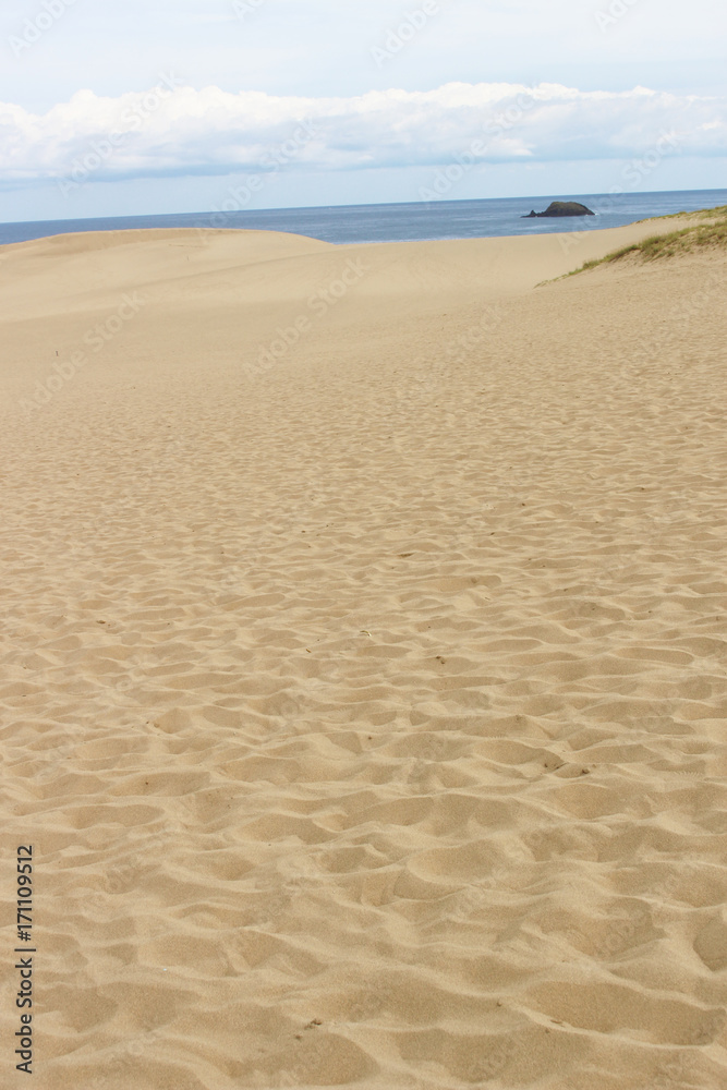 砂丘と海