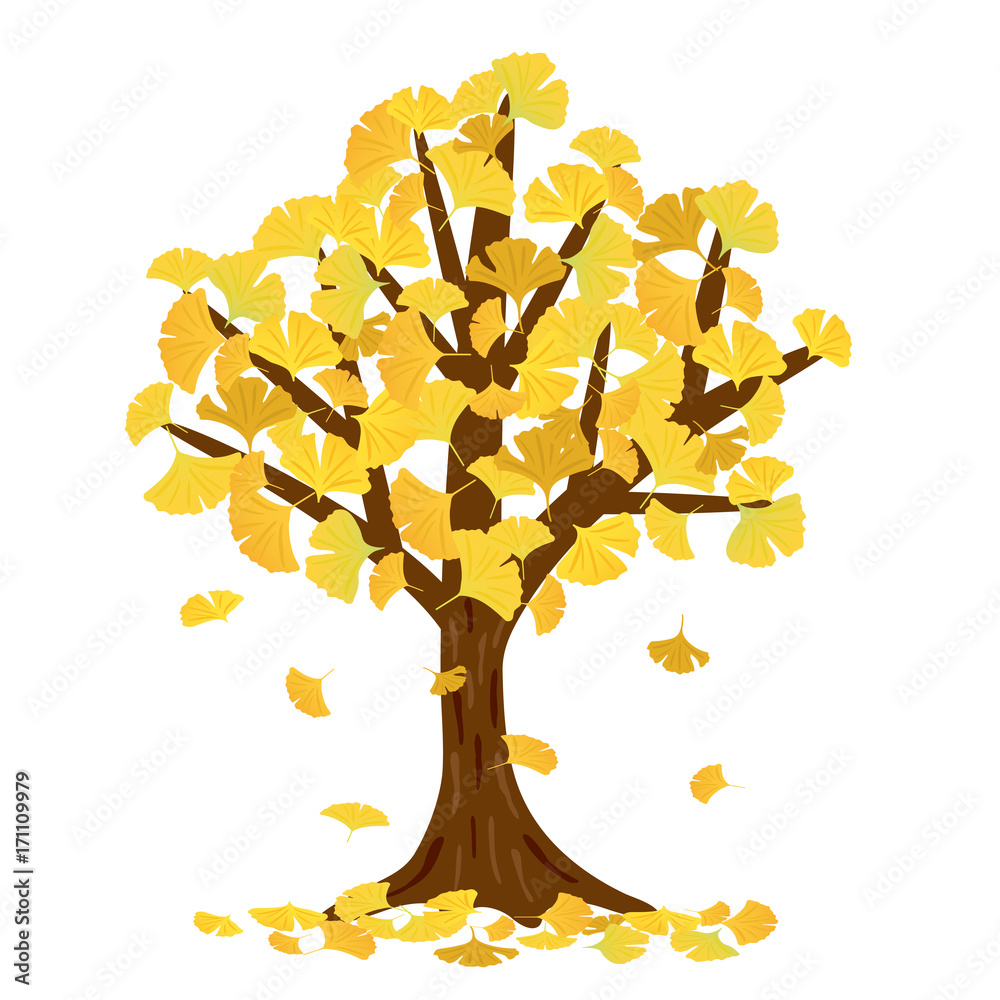 銀杏の木のイラスト Stock Vector Adobe Stock