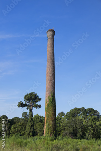 Old Chimney left over from Remerton Cotton Mill, Remerton, GA