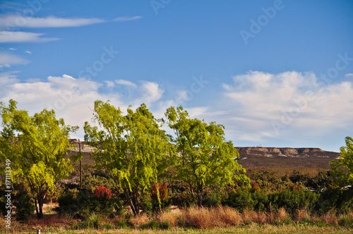 Treeline in the Chubut Valley in the Patagonia Region of Argentina