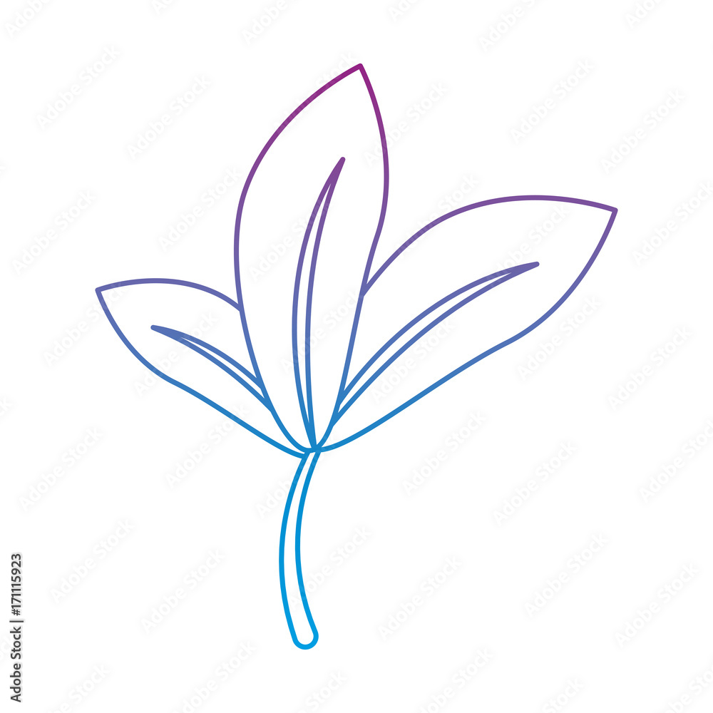 leafs plant isolated icon vector illustration design leafs plant isolated icon vector illustration design