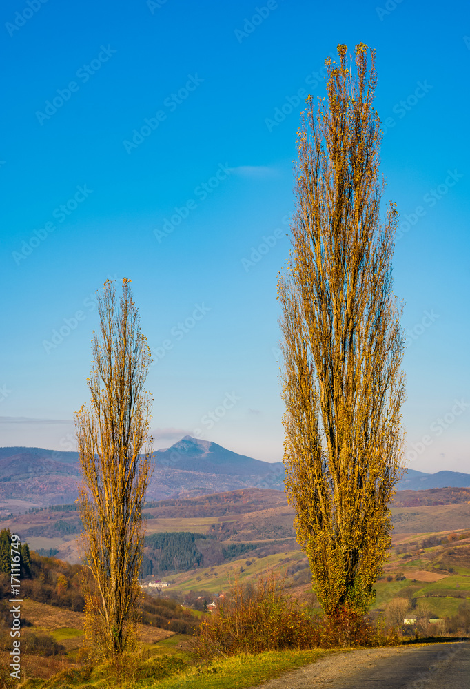 Fototapeta premium countryside road in autumnal mountainous area. beautiful view of high mountain in the distance in fine forenoon weather