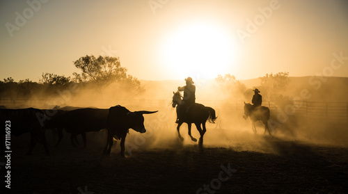 mustering  Kimberley  Western Australia