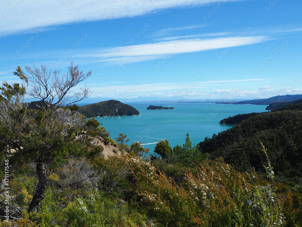 Obraz premium Blick aufs Meer im Abel Tasman Park, Neuseeland 