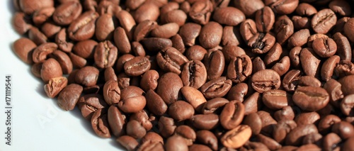 Coffee grains close-up. 