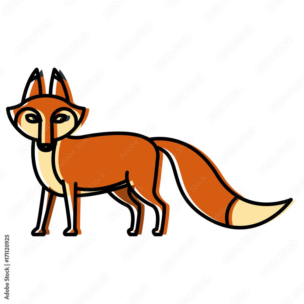 Fox animal cartoon icon vector illustration graphic design