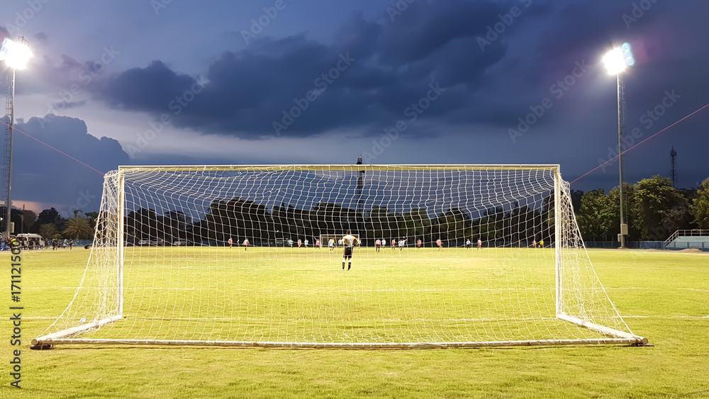 Fototapeta premium Football goal with the white mesh on a green lawn in the evening