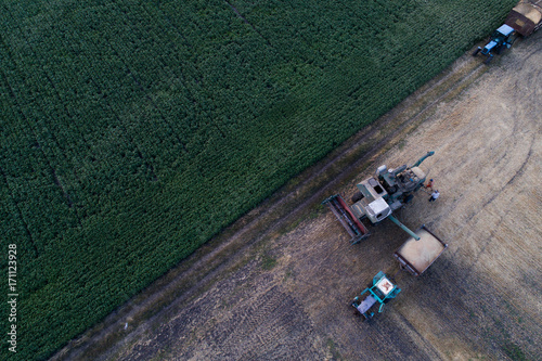 Aerial view of the combine harvester, which pours the grain into the trailer for further processing.