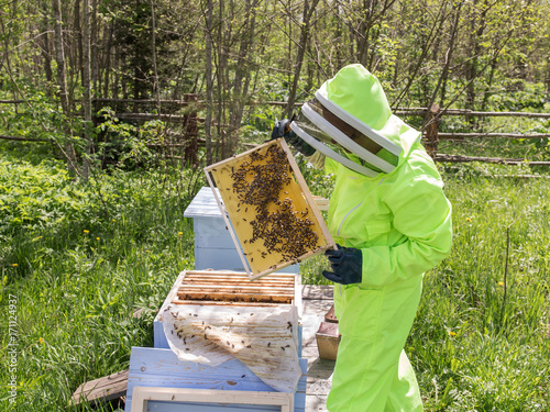 bee-keeper takes out honeycombs