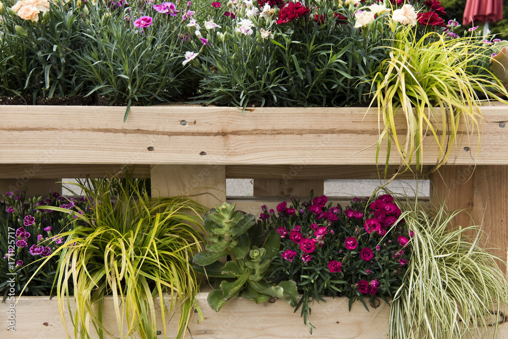 Vertikaler Garten für draußen und drinnen, Balkon, Landhausstil Stock
