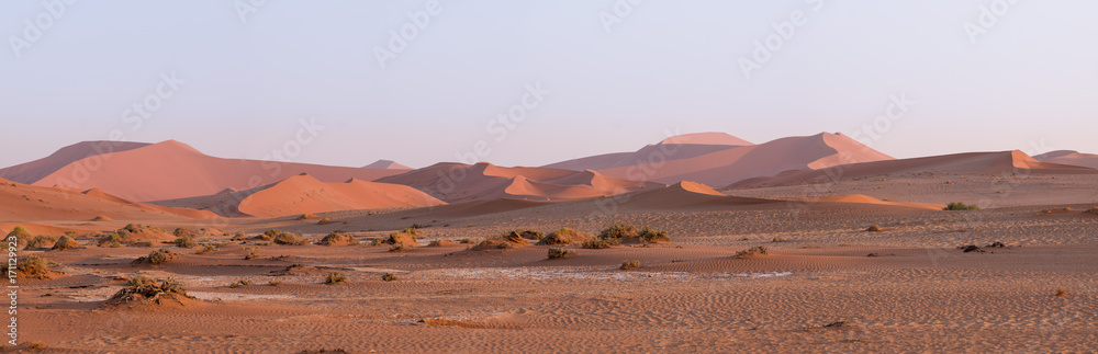 panorama of the dunes, Sossusvlei, Namibia