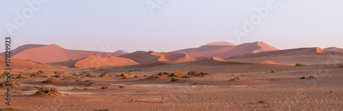 panorama of the dunes, Sossusvlei, Namibia