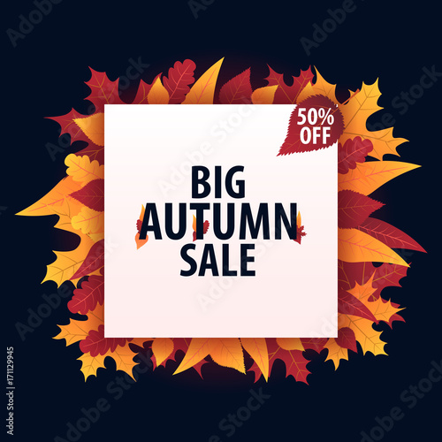 Autumn Background with leaves for shopping sale or promo poster and frame leaflet or web banner. Vector illustration template.