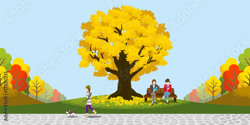 Big Autumn tree in the park