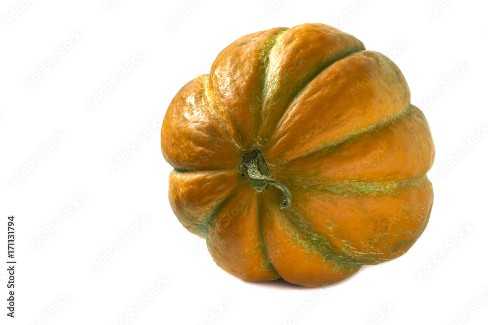 one large decorative orange round ripe melon one large decorative orange round ripe melon