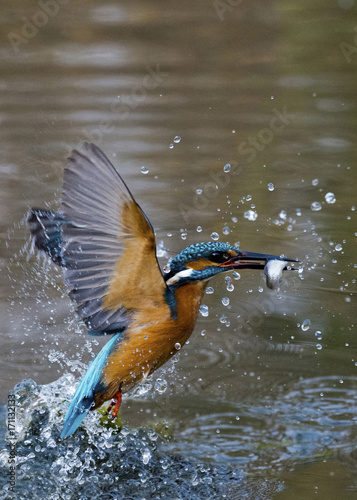 Italy, Sardinia, Cagliari district, Cagliari