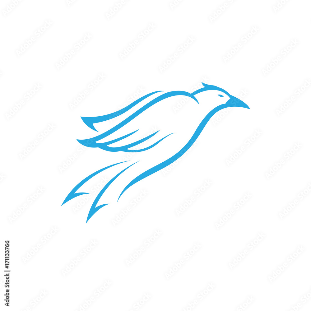 fly bird pigeon dove logo fly bird pigeon dove logo