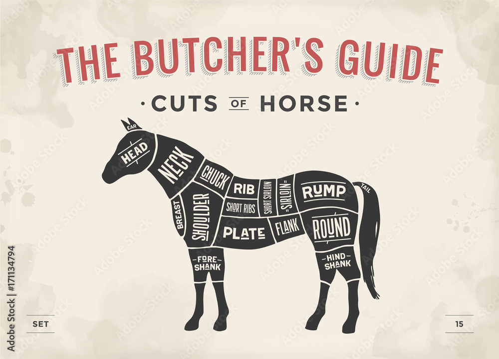 Cut of meat set. Poster Butcher diagram, scheme - Horse. Vintage ...