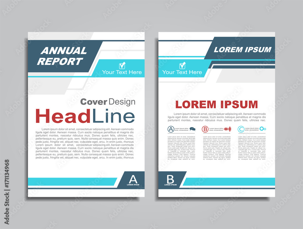Obraz premium Flyers report brochure cover book portfolio design template. Vector.