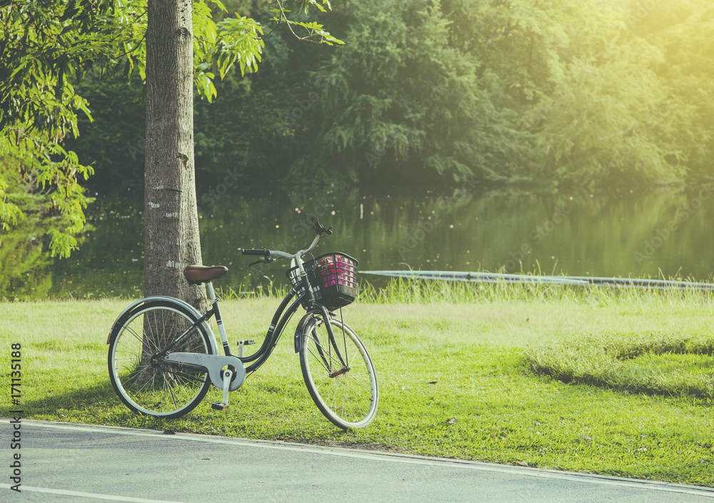 Fototapeta premium Black bicycle in park