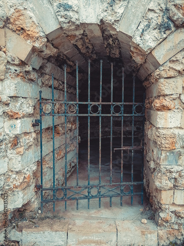 ancient dungeon. metal grill
