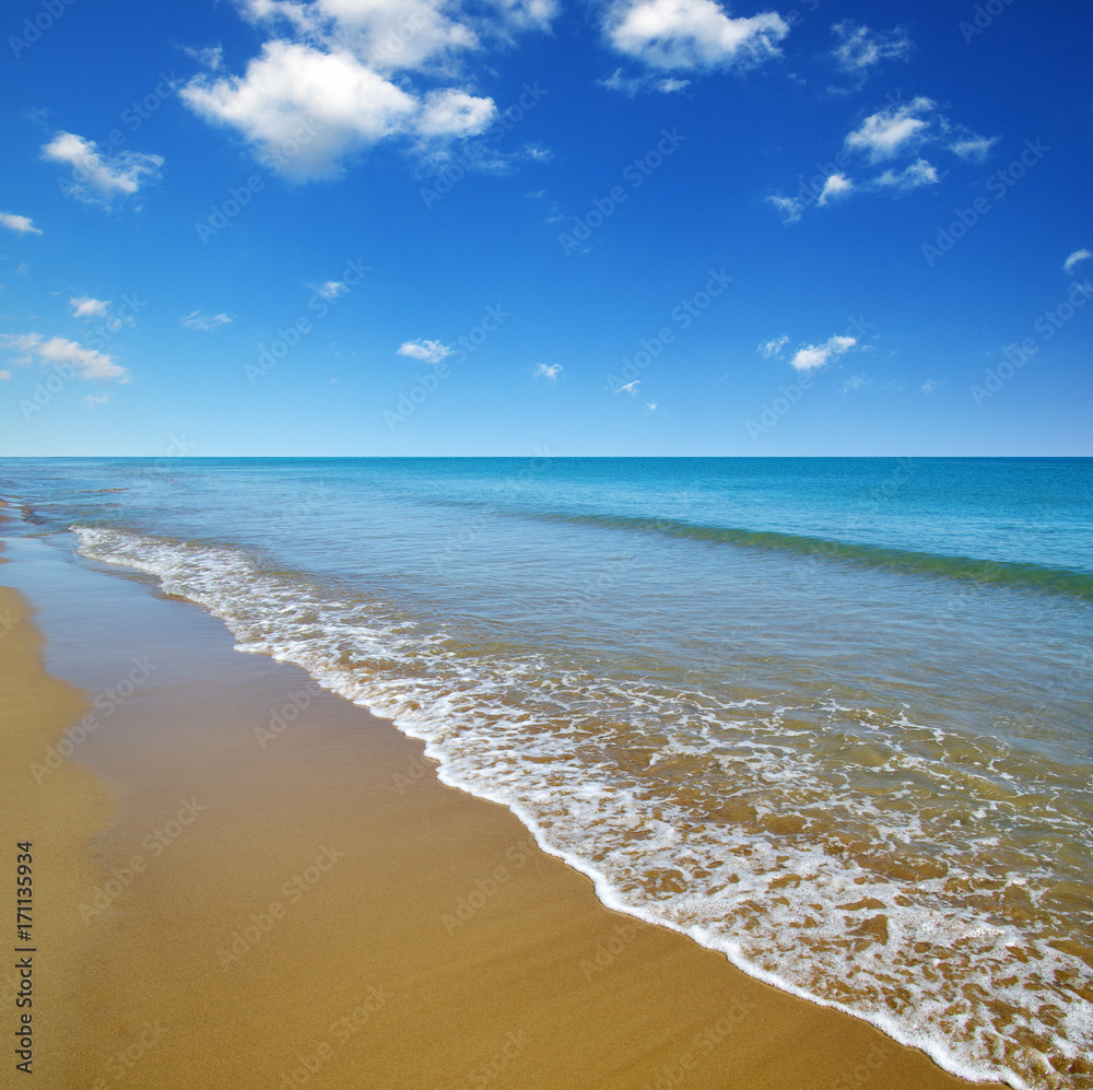 Fototapeta premium beach and sea