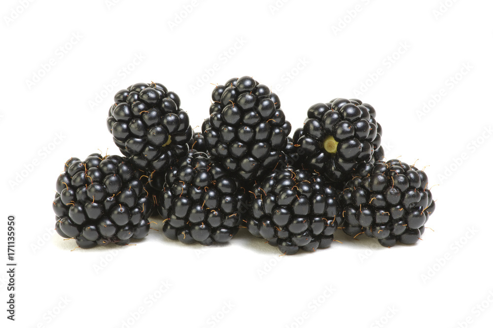  Ripe blackberries isolated on white background