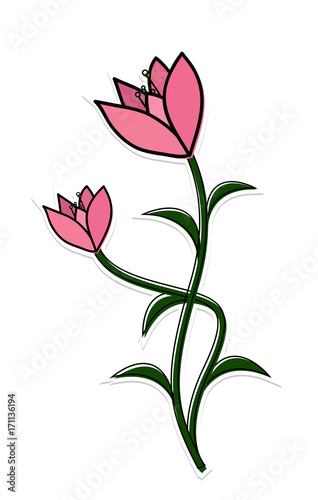 Pink Flowers Design