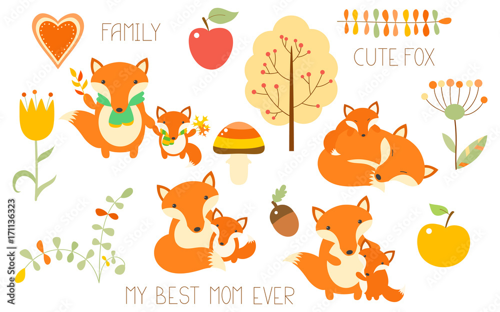 Set of cute fox with baby