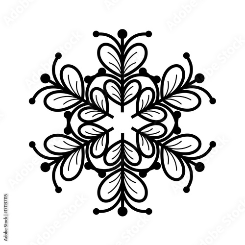 Abstract Floral Snowflake Design