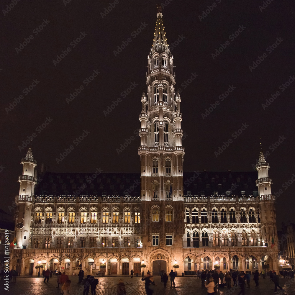 Brussels Town Hall at Night