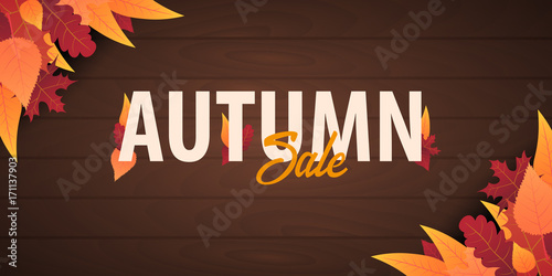 Autumn Background with leaves for shopping sale or promo poster and frame leaflet or web banner. Vector illustration template.