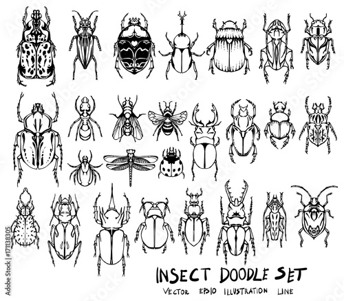 Set of insect doodle illustration Hand drawn Sketch line vector eps10