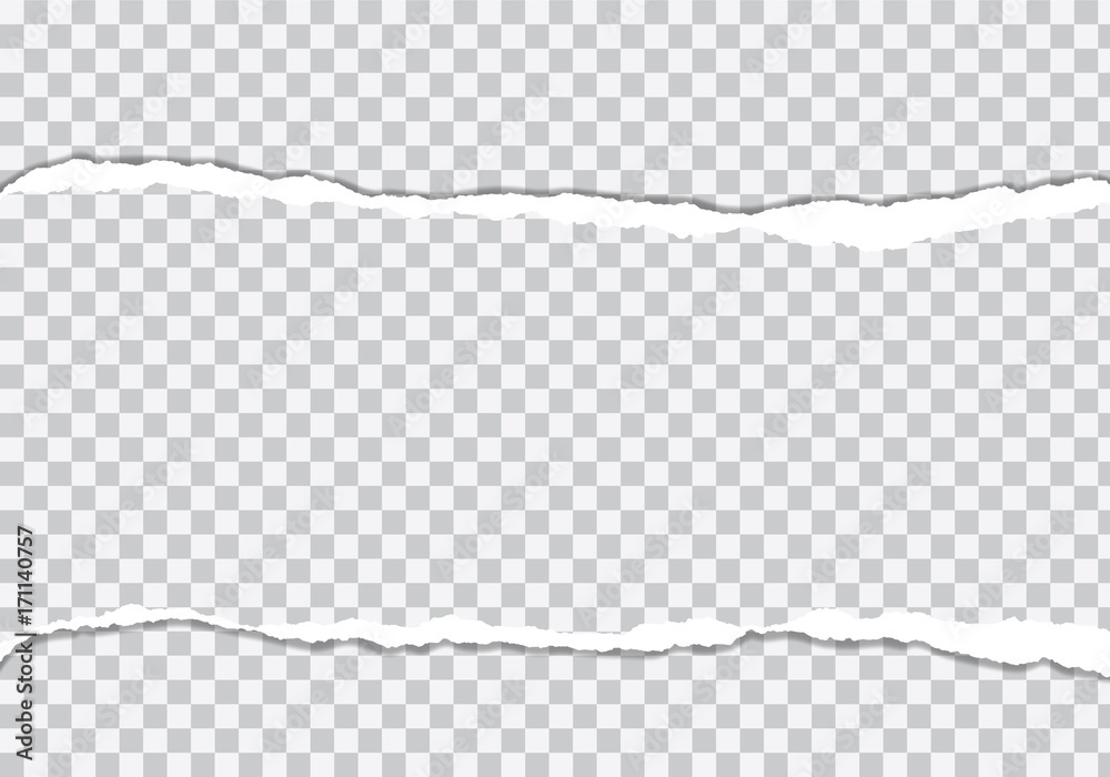 vector realistic illustration of torn paper with rolled edge on transparent background