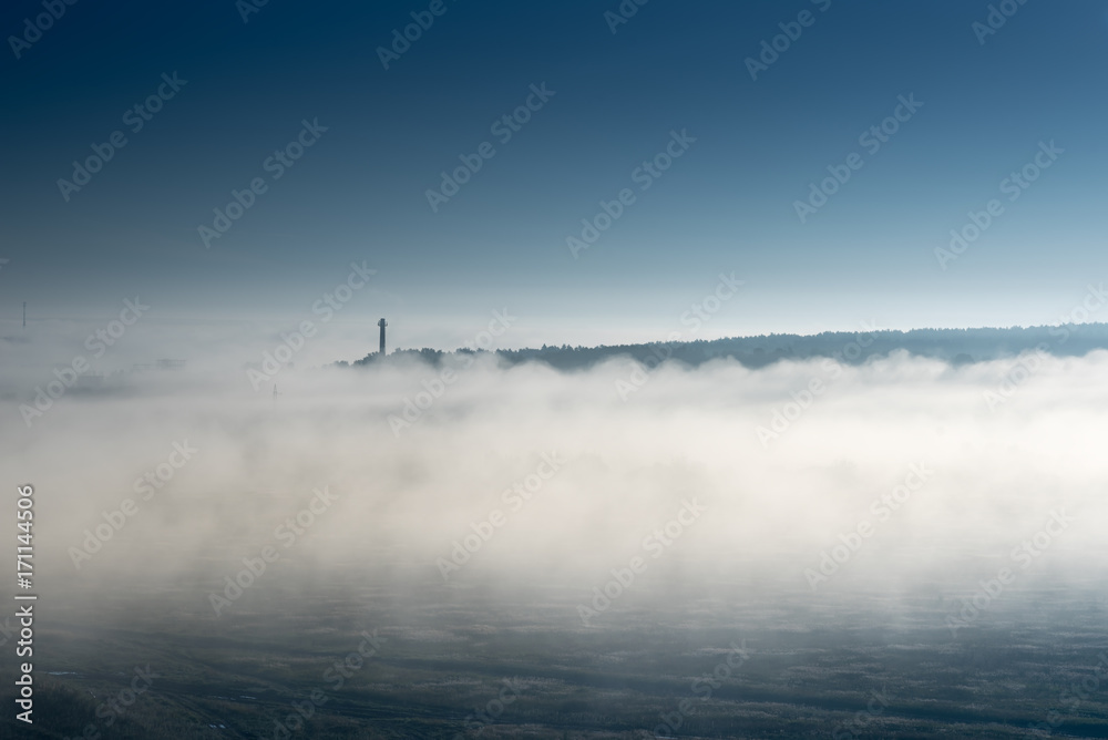 thick morning fog on the summer field. the dense forest on the horizon. Morning landscape in summer thick fog