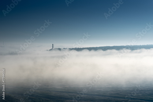 thick morning fog on the summer field. the dense forest on the horizon. Morning landscape in summer thick fog